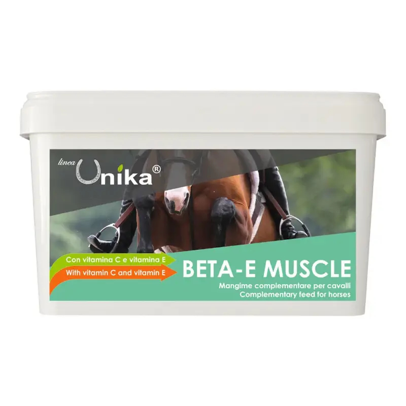 Beta-E Muscle, Muskelaufbau Pferd, Ergänzungsfuttermittel Nur Für Kurze Zeit