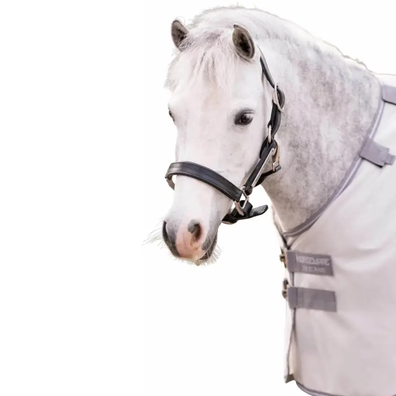 Begrenztes Angebot Fliegendecke Amigo Bug Rug Pony, mit UV-Schutz