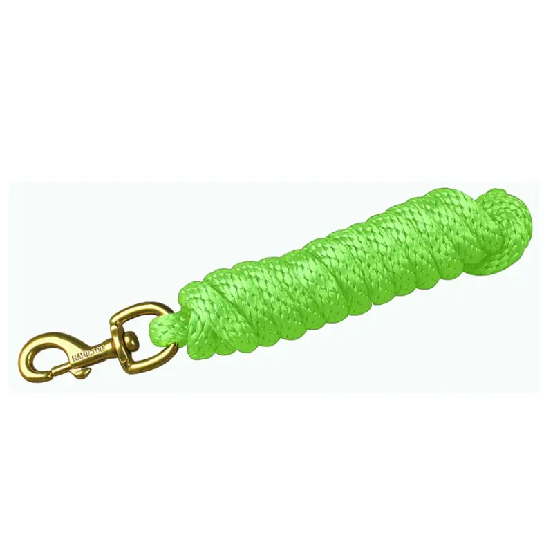 Hamilton Poly-Führstrick mit Karabiner Aktuell