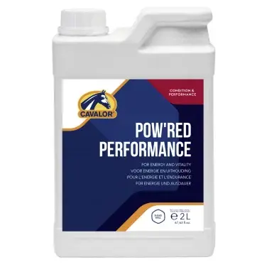 Nur Heute Pow'red Performance