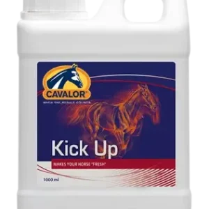 Expressversand Kick Up