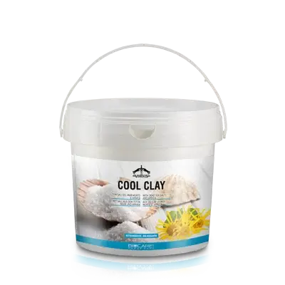 Direktkauf Tonerde Cool Clay