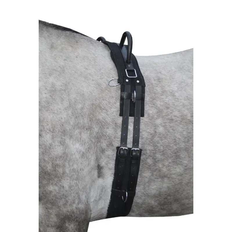Markenware Longiergurt Canvas, mit Doppelgriff