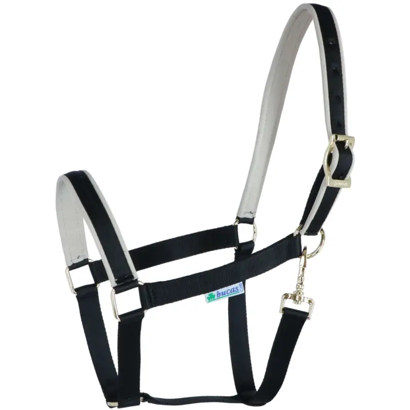 Bucas Halfter Dublin Foal Black/Silver Preiswert