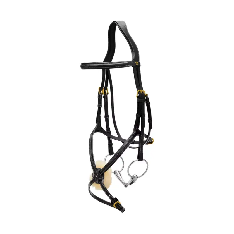 Beliebt Dyon Zaum Fig 8 Schwarz