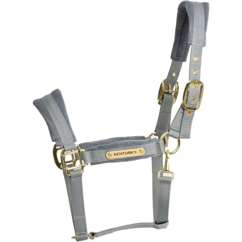 Kentucky Halfter Velvet Hellblau Sale