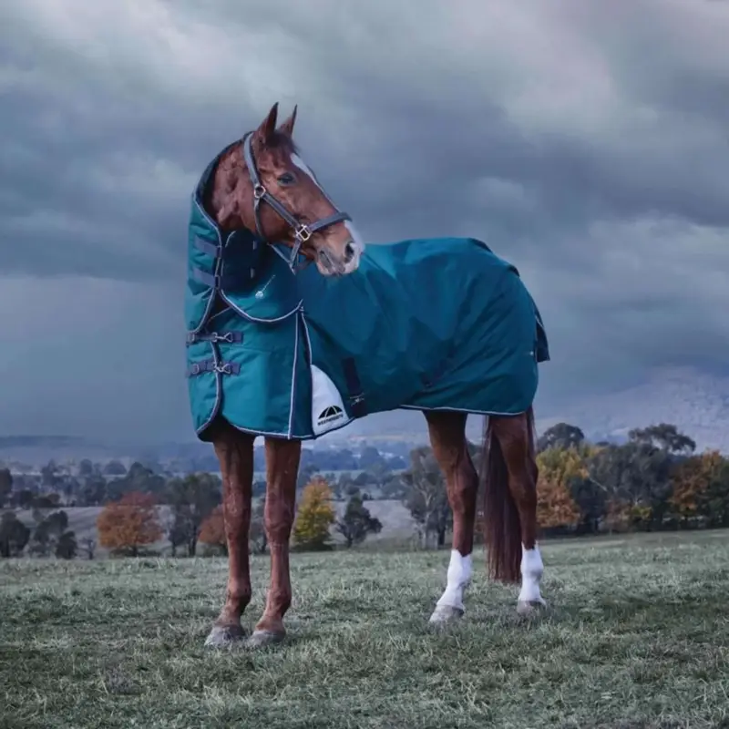 Günstig WeatherBeeta ComFiTec Plus Dynamic Turnout Detach-A-Neck 220g Forest Green/Navy