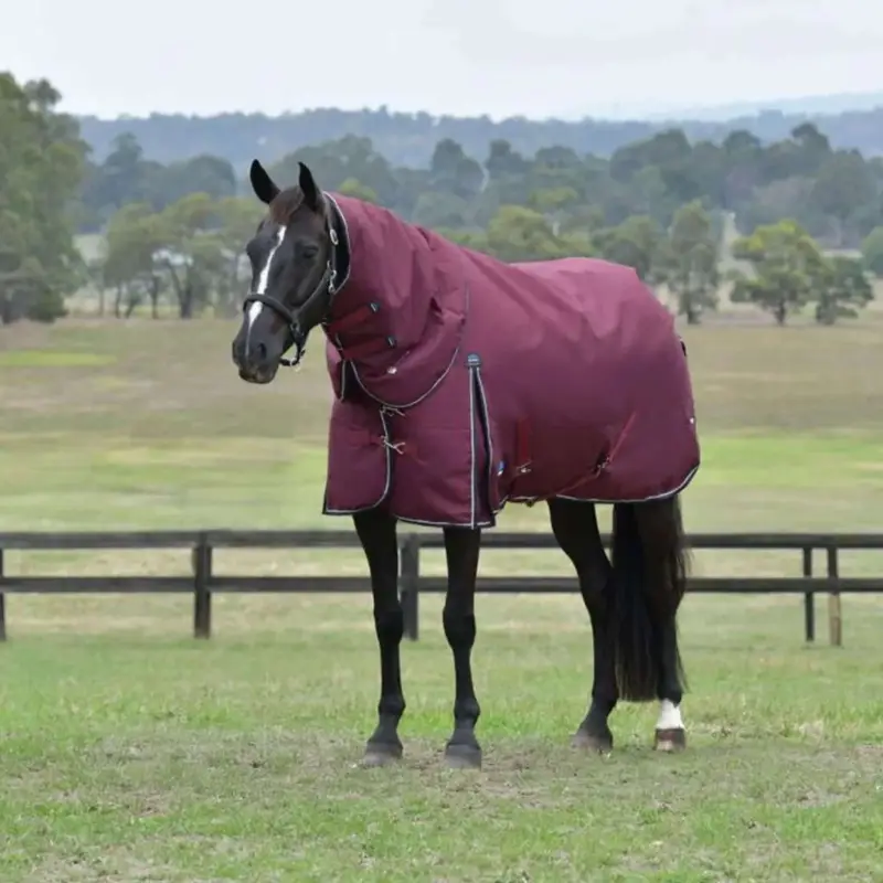 WeatherBeeta ComFiTec Essential Turnout Detach-A-Neck 50g Burgund/Navy Preisknaller