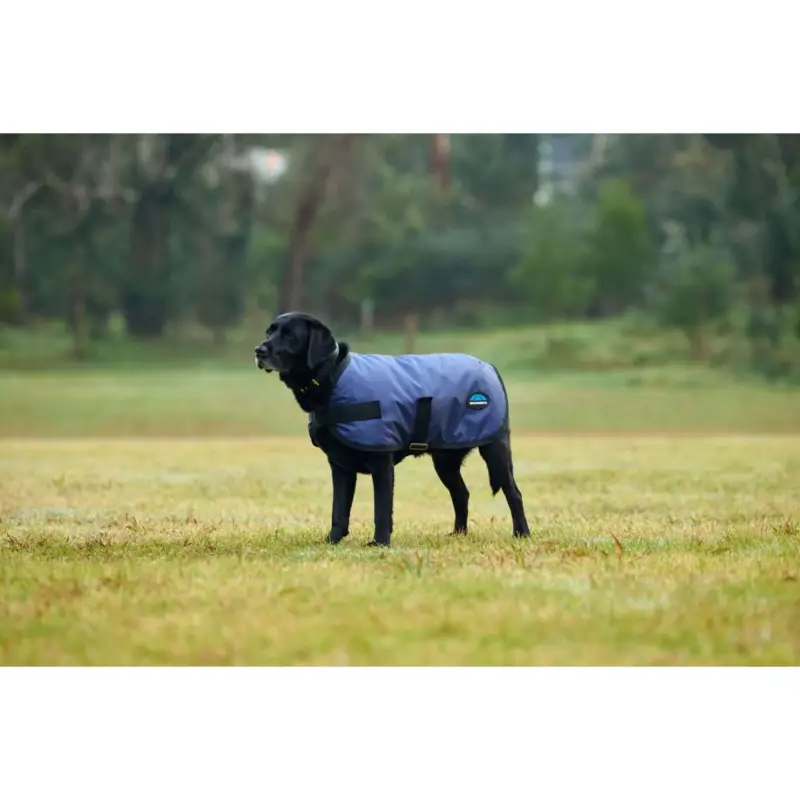 Wochenendangebot WeatherBeeta Hundedecke ComFiTec Classic Waterproof Navy