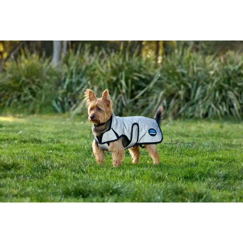 WeatherBeeta Hundedecke ComFiTec Reflective Showerproof Silber Top-Seller