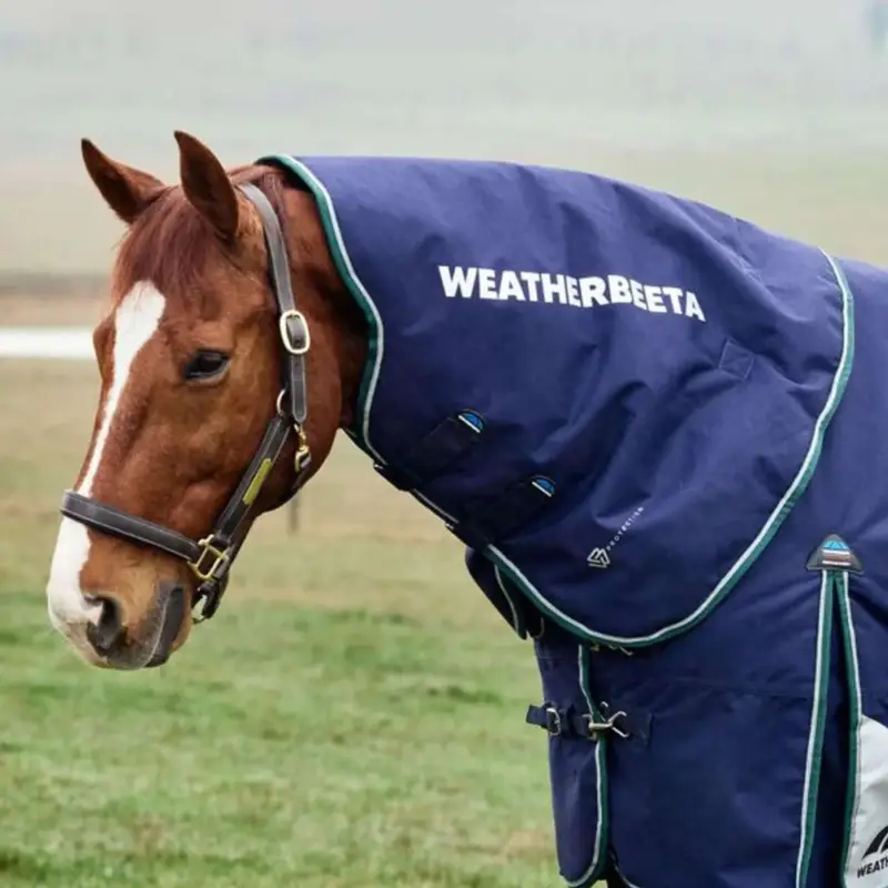 Nur Für Kurze Zeit WeatherBeeta Halsstück ComFiTec Plus Dynamic Turnout 220g Navy/Forest Green