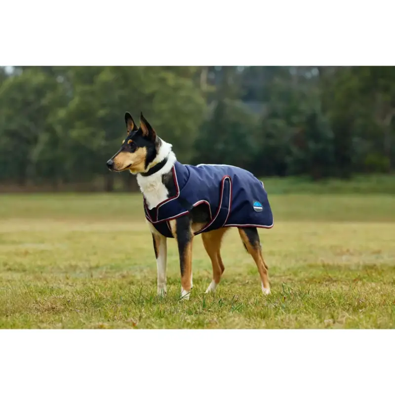 WeatherBeeta Hundedecke ComFiTec Premier Deluxe Waterproof Navy/Burgundy Gratis Versand