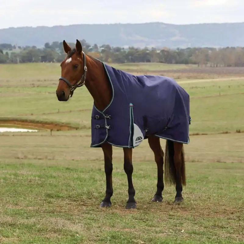 Aktuell WeatherBeeta ComFiTec Plus Dynamic Turnout High Neck 100g Navy/Forest Green