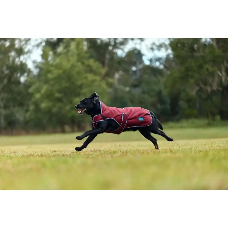 Letzte Chance WeatherBeeta Hundedecke ComFiTec Premier Deluxe Waterproof Burgund/Navy