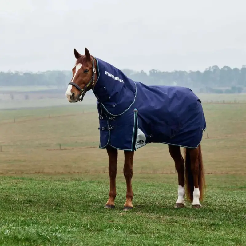 Markenware WeatherBeeta ComFiTec Plus Dynamic Turnout Detach-A-Neck 100g Navy/Forest Green
