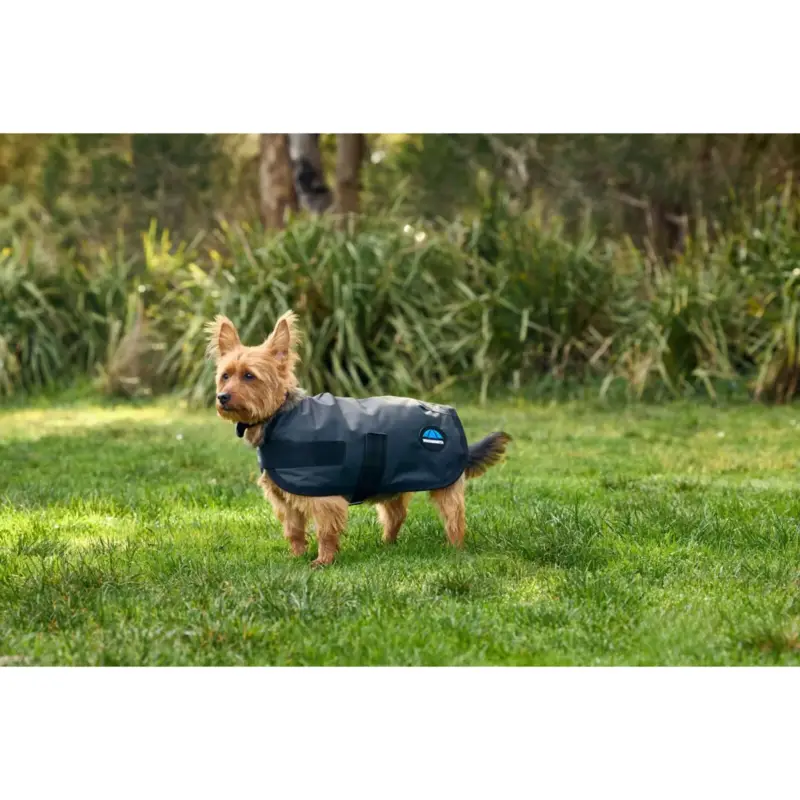 WeatherBeeta Hundedecke ComFiTec Classic Waterproof Kohle Neue Kollektion