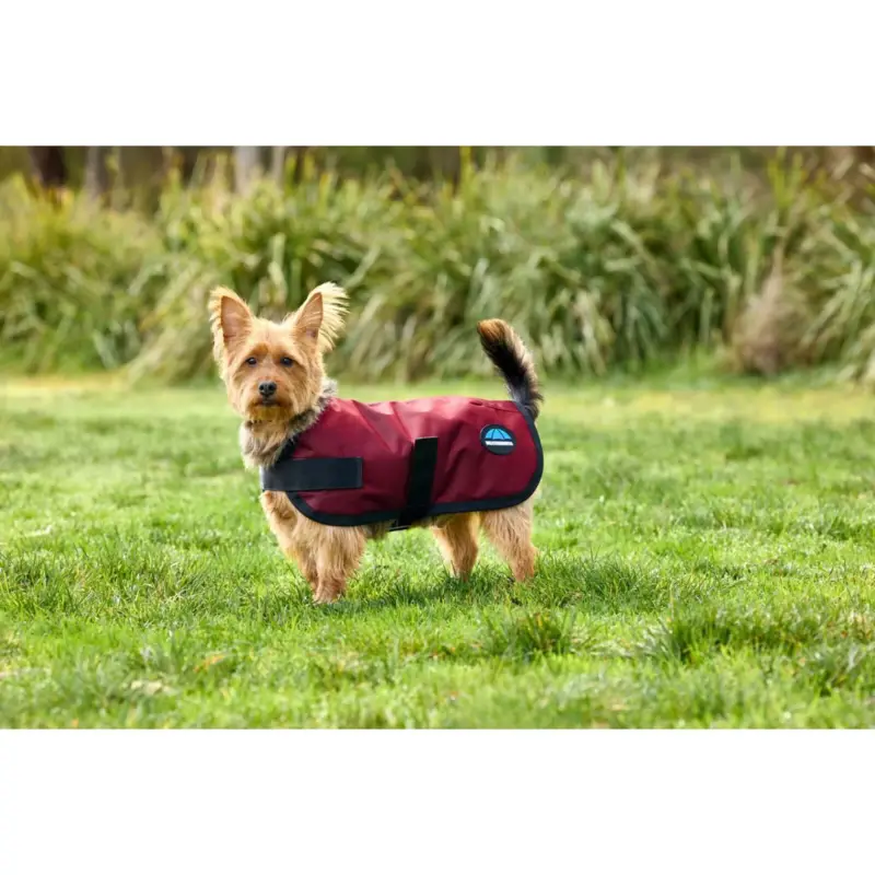 Sichere Zahlung WeatherBeeta Hundedecke ComFiTec Classic Waterproof Burgunderrot