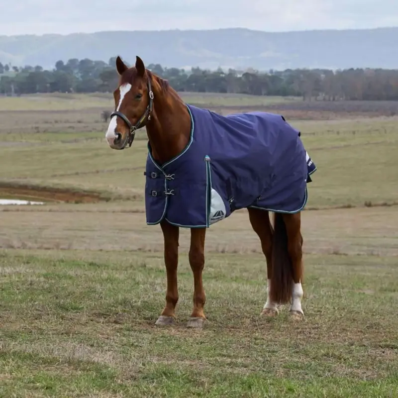 Sale WeatherBeeta ComFiTec Plus Dynamic Turnout 100g Navy/Forest Green