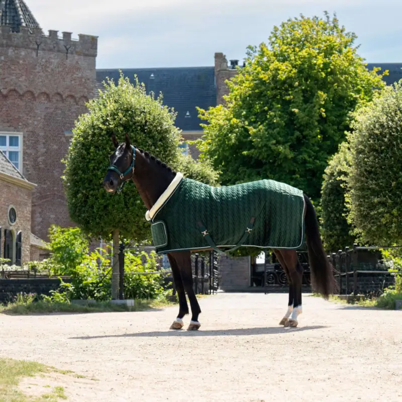 Sonderaktion HB Ruitersport Showdecke Special Peach Forest Green