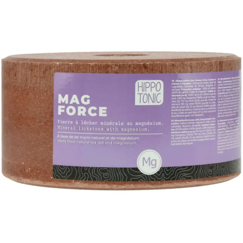 Hippotonic Leckstein Lick Block Magforce Jetzt Bestellen