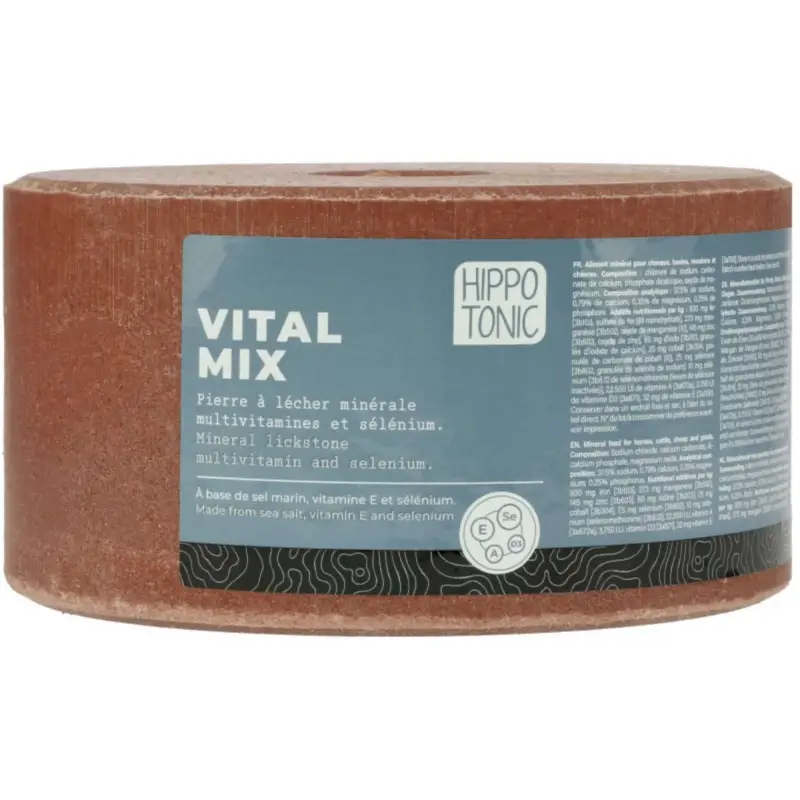 Beliebt Hippotonic Leckstein Vitalmix Salt