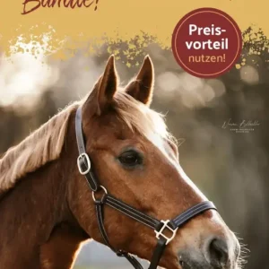 Preisknaller Lederhalfter Heritage Elegance 2 für 99,94€*, Dark Brown