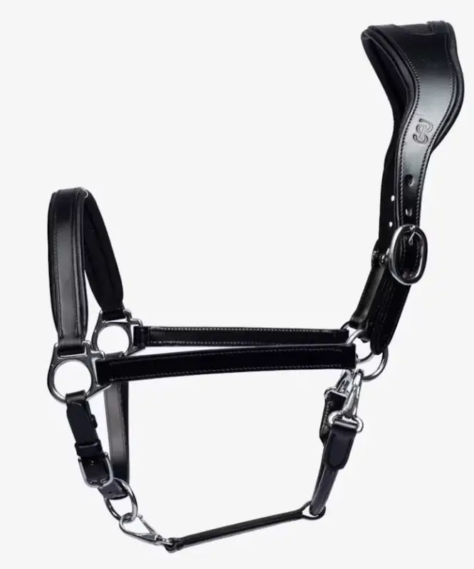 Zertifiziert Lederhalfter, Black