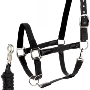 Halfter-Set inkl. Führstrick, Panikhaken, Black Top-Seller