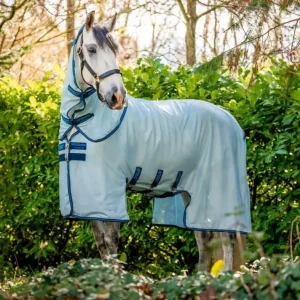 Fliegendecke Amigo® Bug Buster Plus, azure blue/navy & electric blue Bestpreis