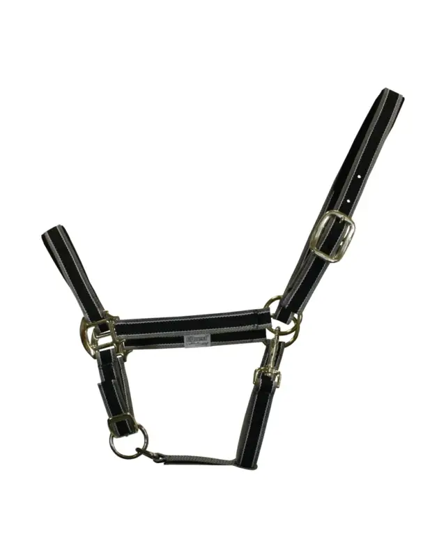 Markenprodukt Halfter Dual Plus