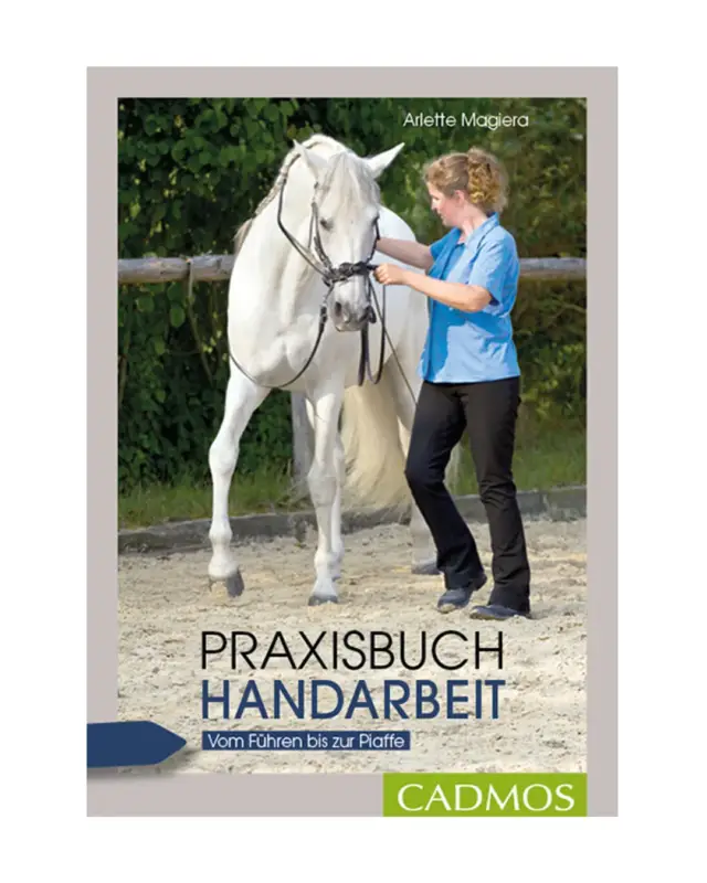 Buch Praxisbuch Handarbeit Neu