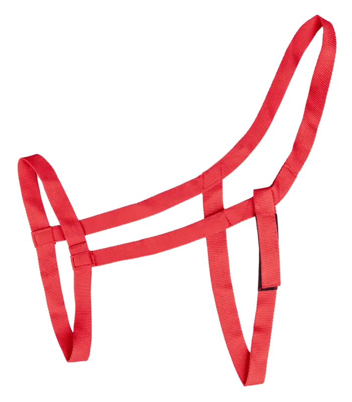 Weidehalfter Sonderangebot