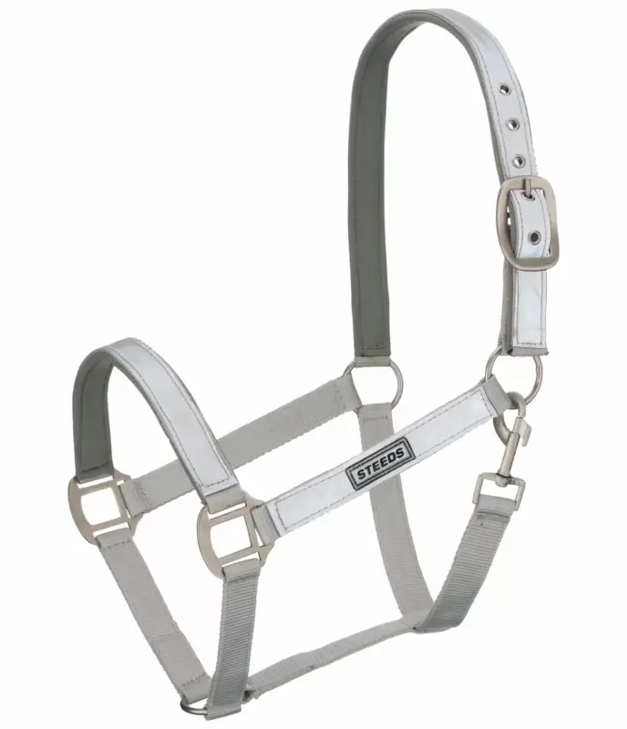 Preisknaller Reflex-Halfter Shiny