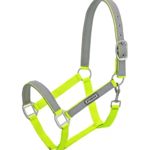 Aktuell Reflex-Halfter Shiny