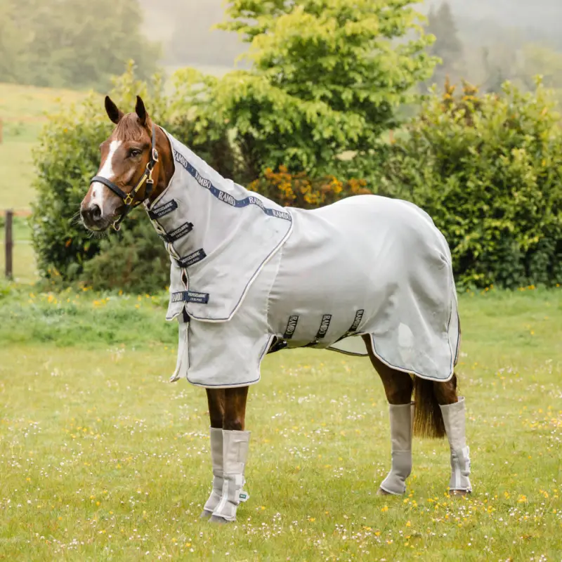 Solange Der Vorrat Reicht Horseware Rambo Protector Plus - Silver/Navy, 165