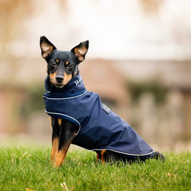 Angebot Horseware Signature Dog Rain Coat Hundemantel - navy, XXS
