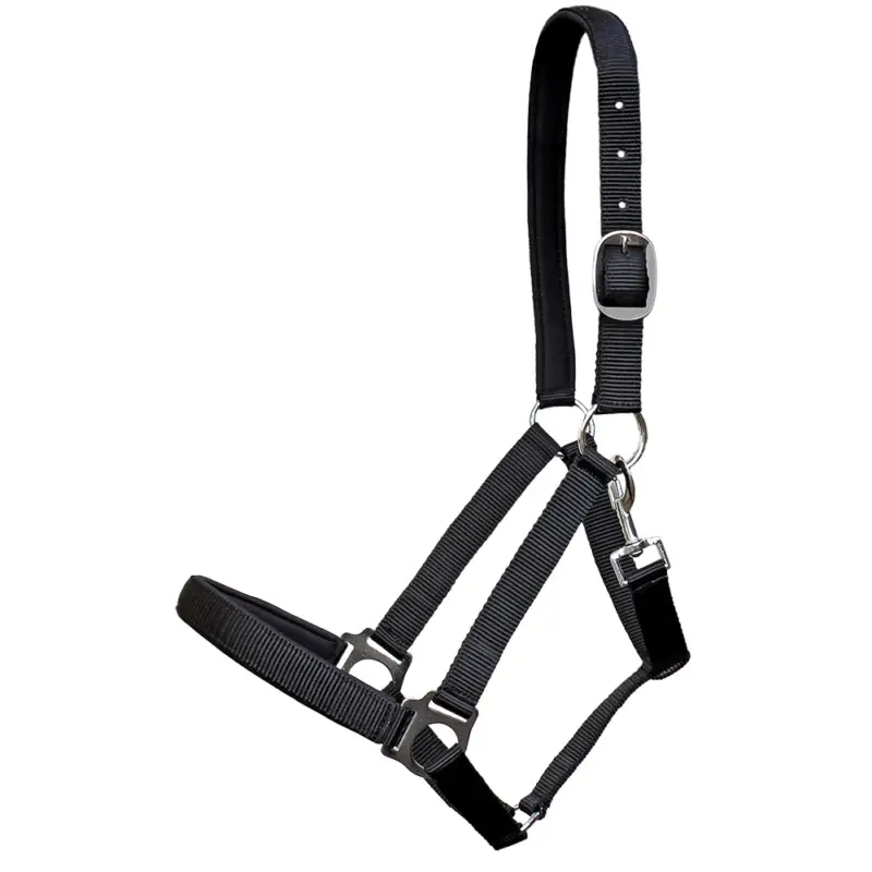Euroriding Halfter Guide- navy, X Full Preiswert