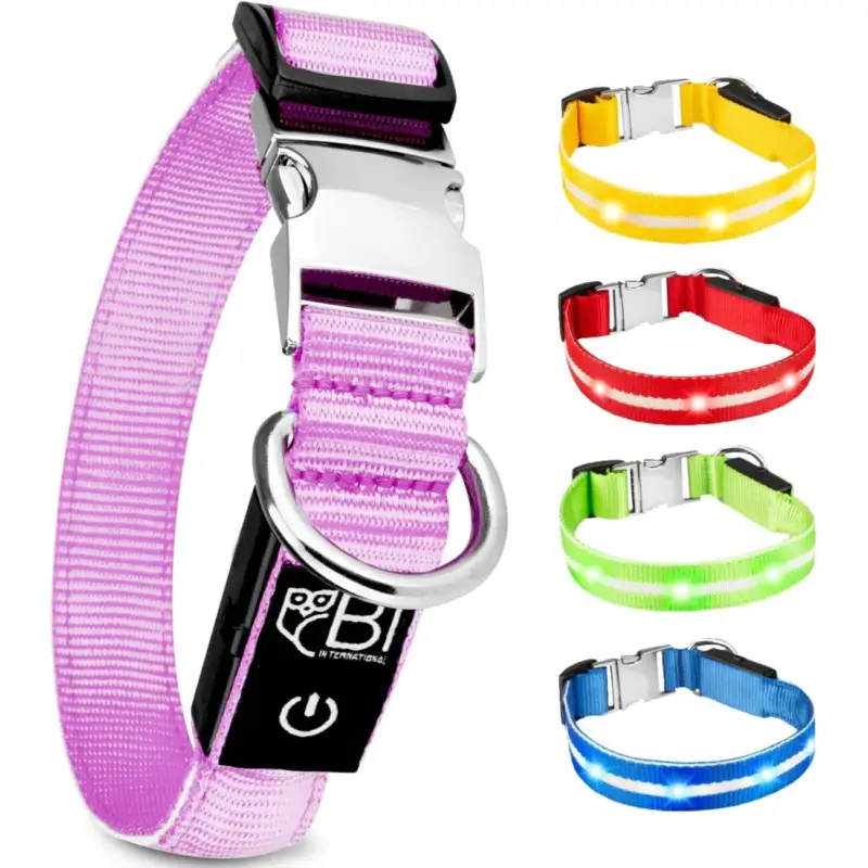 Petsation Leuchthalsband Hundehalsband pink L Kracherpreis