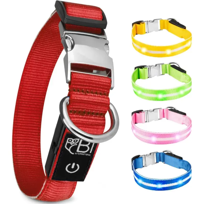 Petsation Leuchthalsband Hundehalsband rot S Neu Im Sortiment
