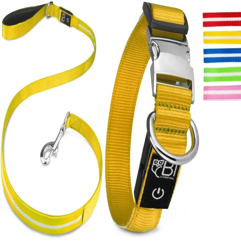 Mega-Angebot Petsation Leuchthalsband + Leine gelb S