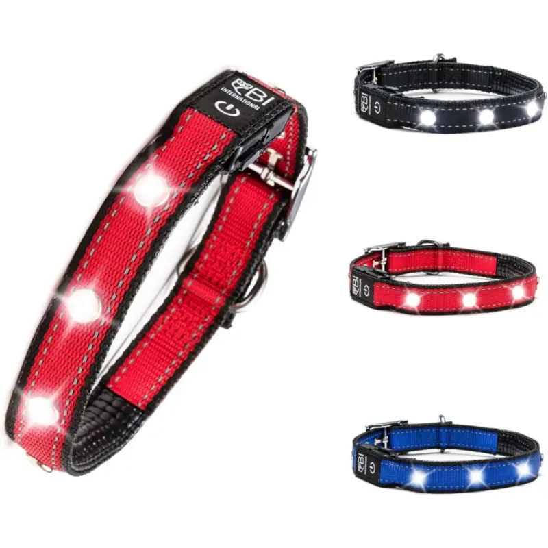 Gratis Versand Petsation Leuchthalsband Hundehalsband rot L