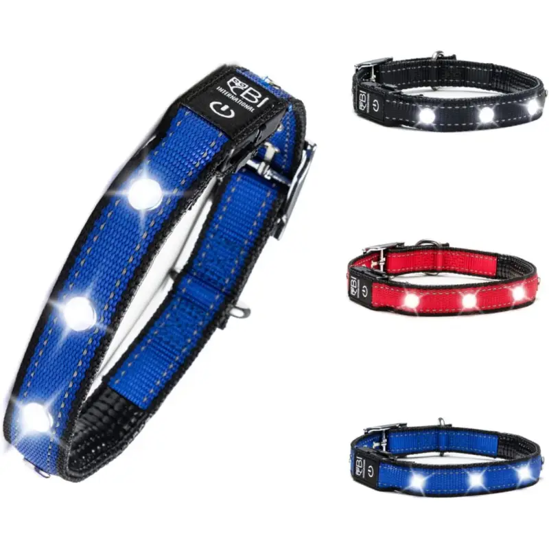 Nur Für Kurze Zeit Petsation Leuchthalsband Hundehalsband blau M