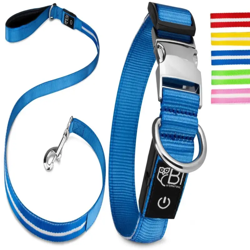 Neuheit Petsation Leuchthalsband + Leine blau XS