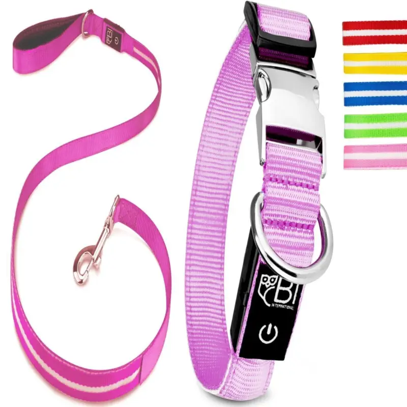 Nur Für Kurze Zeit Petsation Leuchthalsband + Leine pink XS