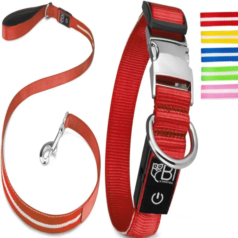 Petsation Leuchthalsband + Leine rot S Preisknaller
