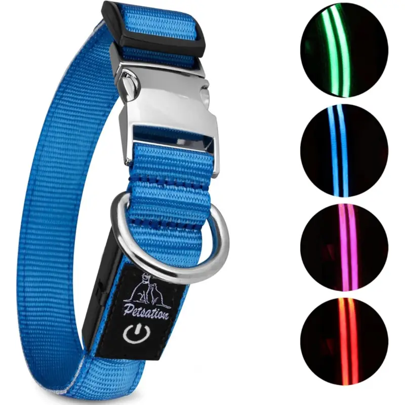 Preis Gesenkt Petsation Leuchthalsband Hundehalsband blau M