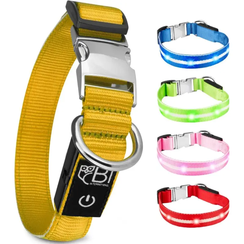 Petsation Leuchthalsband Hundehalsband gelb XS Sichere Zahlung