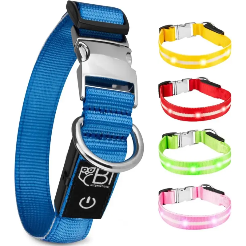 Petsation Leuchthalsband Hundehalsband blau XS Rabatt