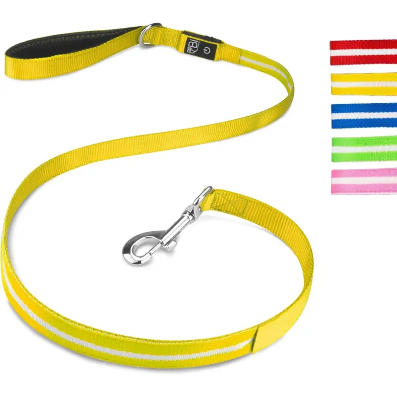 Petsation Hundeleine Leuchtend gelb Online Kaufen