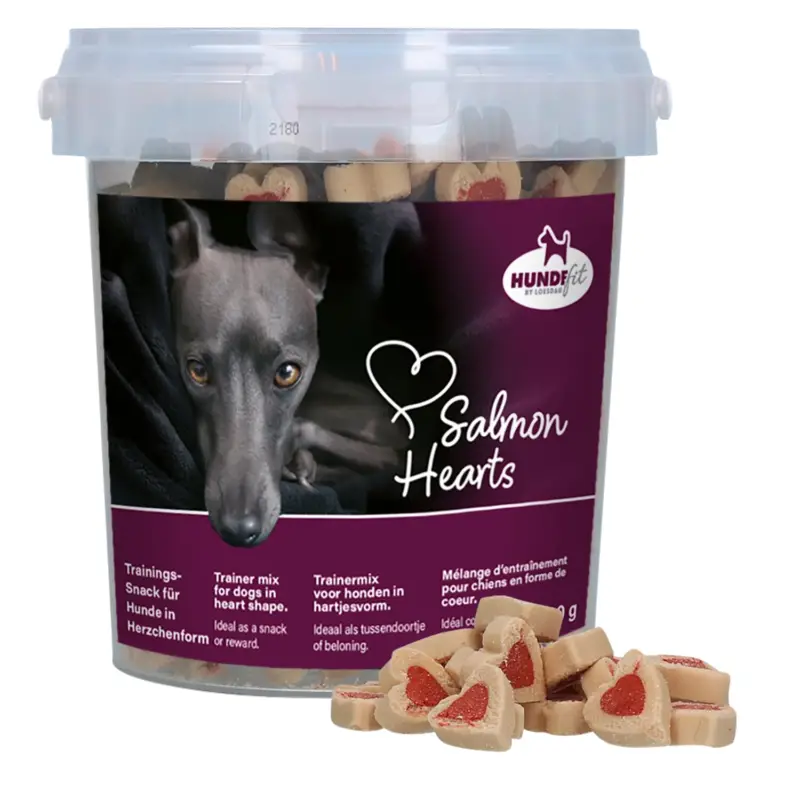 Nur Heute HUNDEfit by Loesdau Leckerli Salmon Hearts